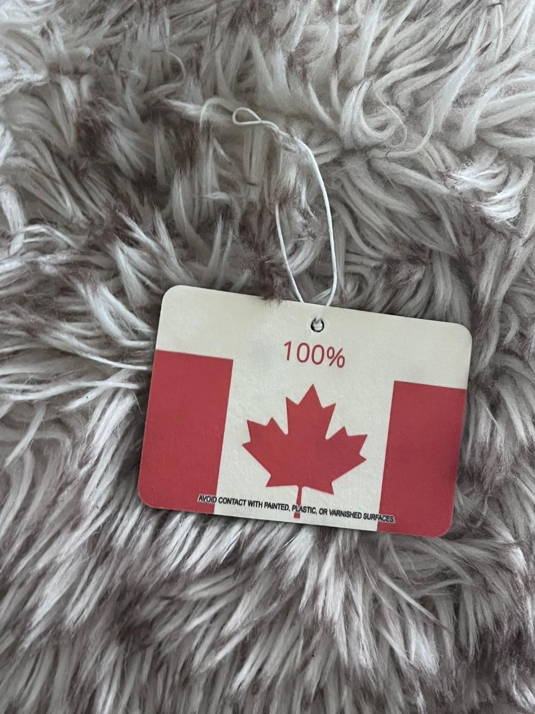 Multi Purpose hanging Inspirational Air Freshener